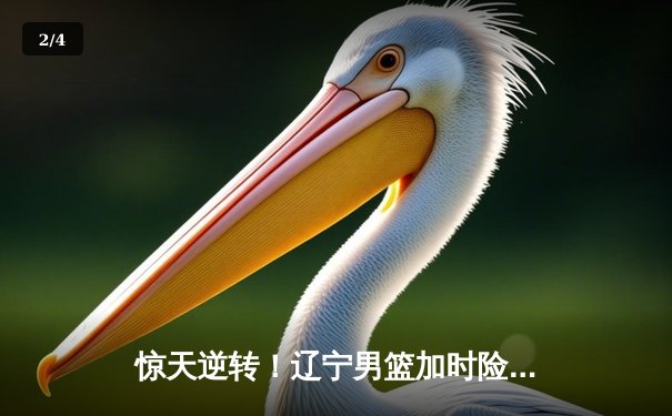 惊天逆转！辽宁男篮加时险胜广东，赵继伟35分创生涯新高 - 2